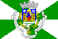 Flag of Porto
